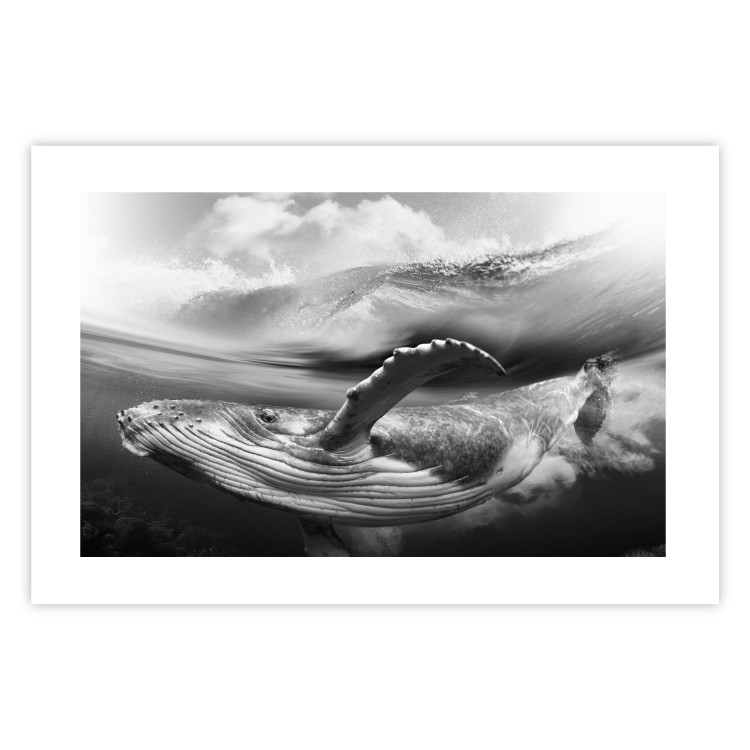Wall Poster Black and White Whale - maritime landscape with a whale against waves 126829 additionalImage 25