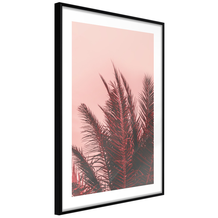 Poster Palms at Sunset - botanical composition with tropical plants 128829 additionalImage 8