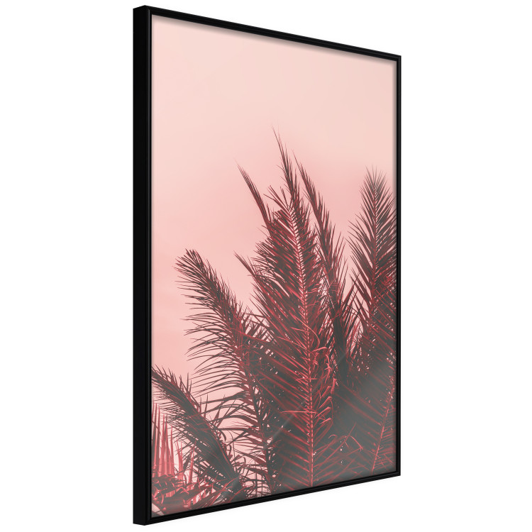 Poster Palms at Sunset - botanical composition with tropical plants 128829 additionalImage 11