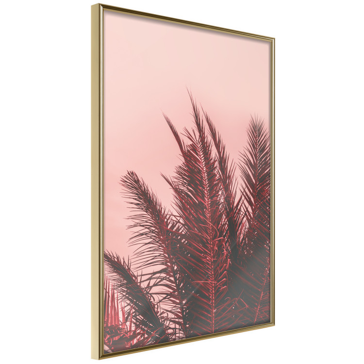 Poster Palms at Sunset - botanical composition with tropical plants 128829 additionalImage 12
