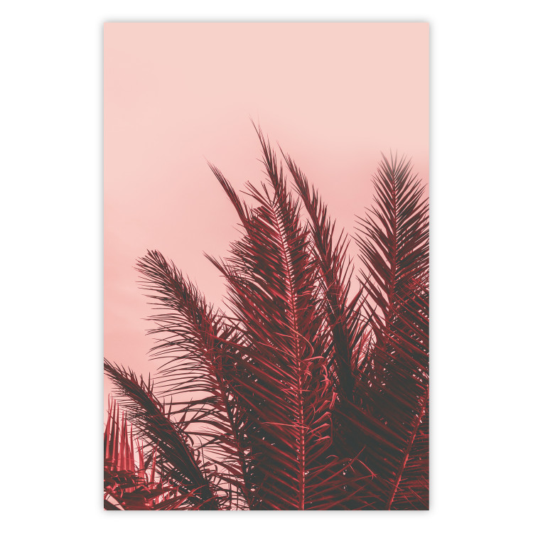 Poster Palms at Sunset - botanical composition with tropical plants 128829