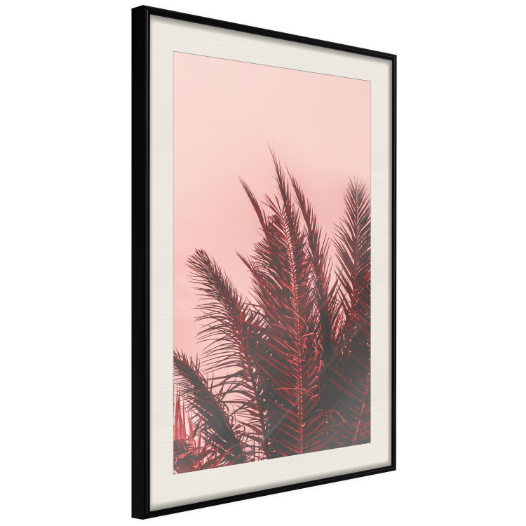 Poster Palms at Sunset - botanical composition with tropical plants 128829 additionalImage 2