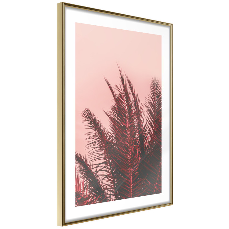 Poster Palms at Sunset - botanical composition with tropical plants 128829 additionalImage 9
