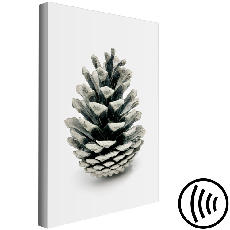 Canvas Winter cone - floral, winter photograph on a white background 130729 additionalImage 6