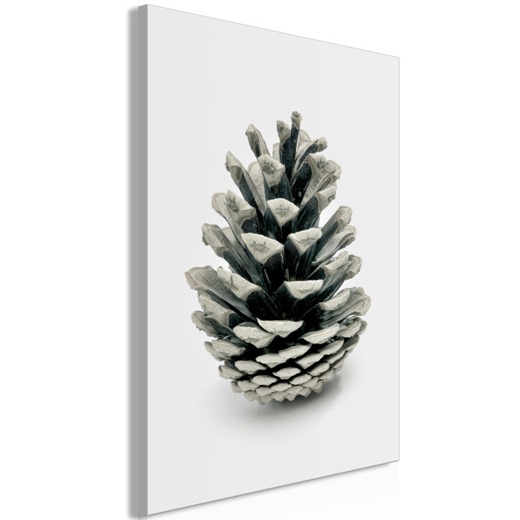 Canvas Winter cone - floral, winter photograph on a white background 130729 additionalImage 2