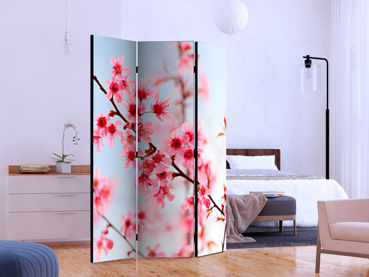Room Separator Symbol of Japan - Sakura (3-piece) - cherry blossoms against the sky 132729 additionalImage 2