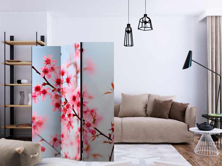 Room Separator Symbol of Japan - Sakura (3-piece) - cherry blossoms against the sky 132729 additionalImage 4