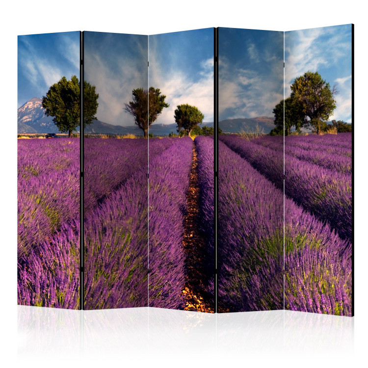 Room Divider Screen Lavender Field in Provence II (5-piece) - purple lavender fields 132929