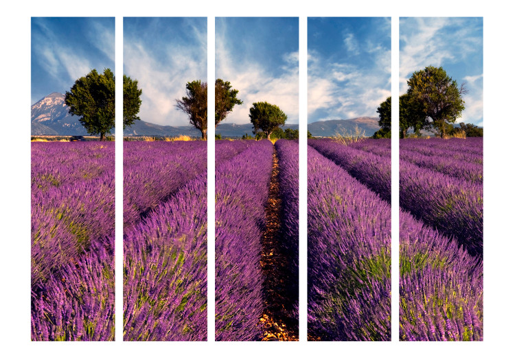 Room Divider Screen Lavender Field in Provence II (5-piece) - purple lavender fields 132929 additionalImage 3