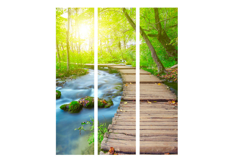Room Divider Screen Green Forest - landscape of a wooden bridge in the forest against the sunlight 134029 additionalImage 3
