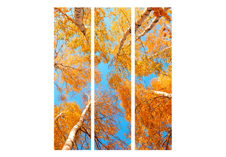Room Divider Screen Autumn Tree Crowns (3-piece) - orange leaves against the sky 134129 additionalImage 3