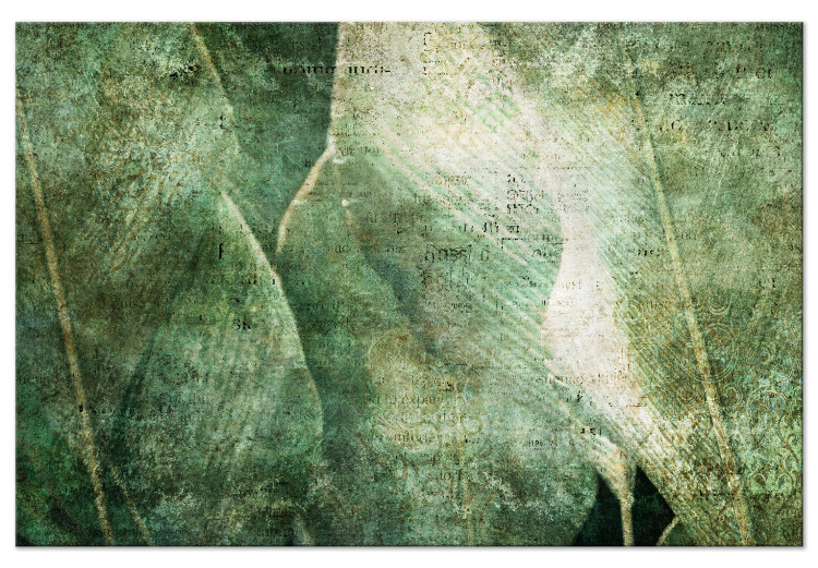 Canvas Big leaves - Worn image of exotic leaves plants 135529