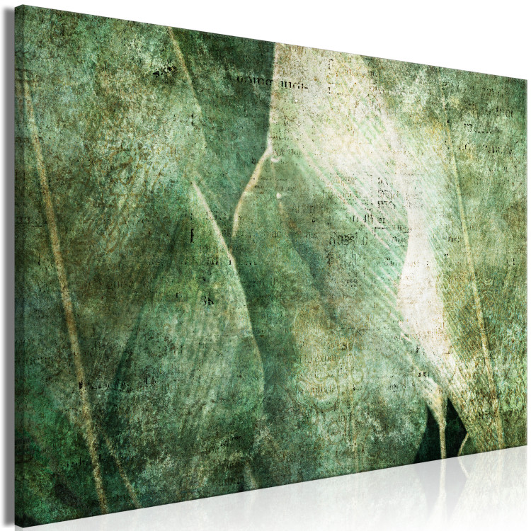 Canvas Big leaves - Worn image of exotic leaves plants 135529 additionalImage 2
