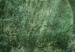 Canvas Big leaves - Worn image of exotic leaves plants 135529 additionalThumb 5
