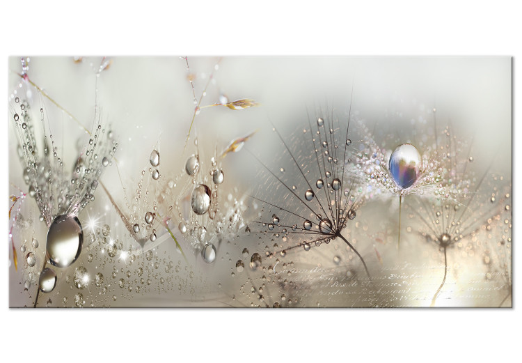 Large canvas print Morning Song II [Large Format] 137629