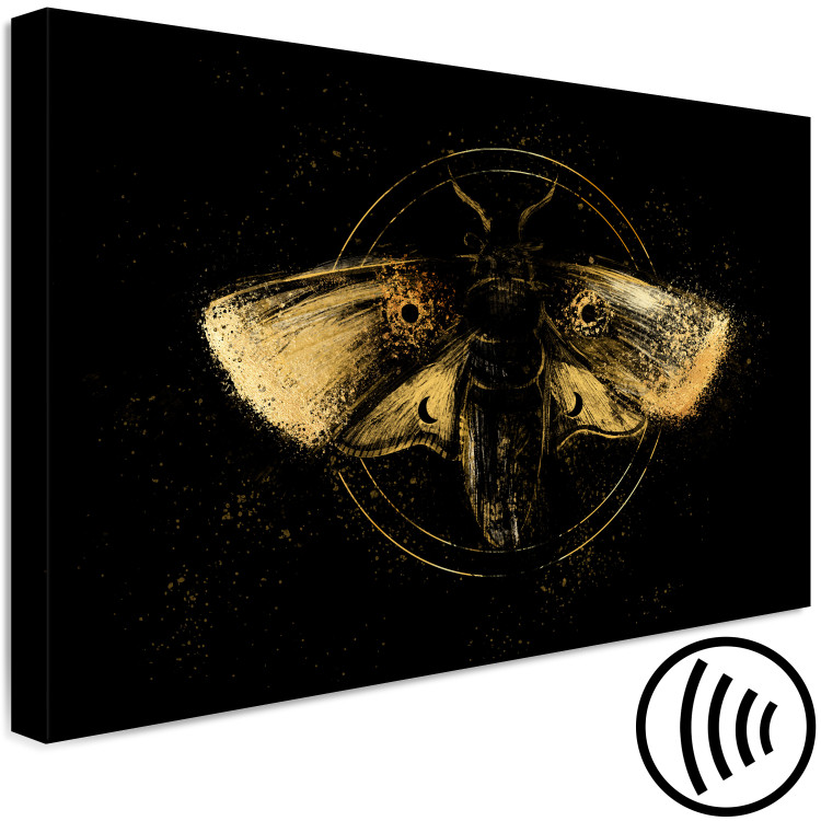 Canvas Print Night Moth (1-piece) Wide - first variant - animal in black 142529 additionalImage 6