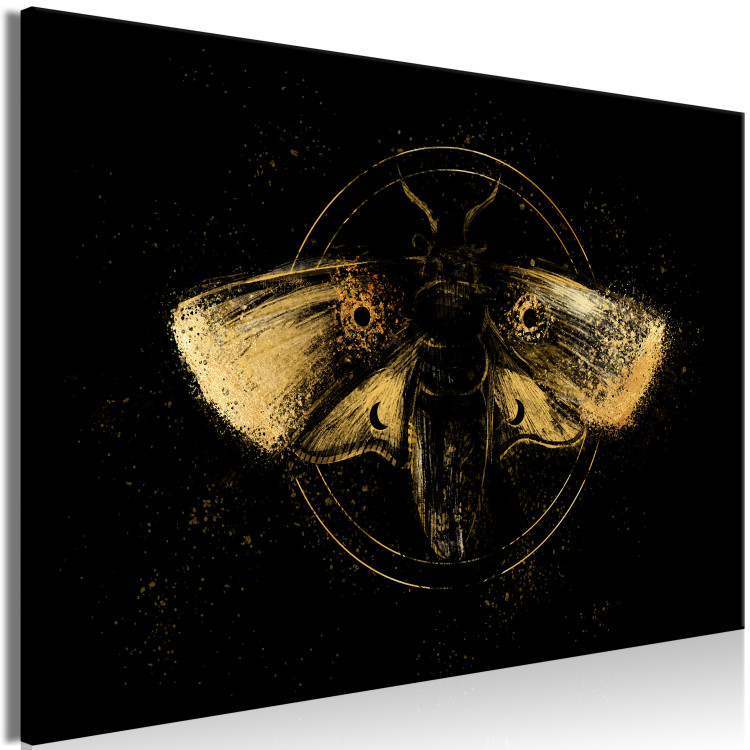 Canvas Print Night Moth (1-piece) Wide - first variant - animal in black 142529 additionalImage 2