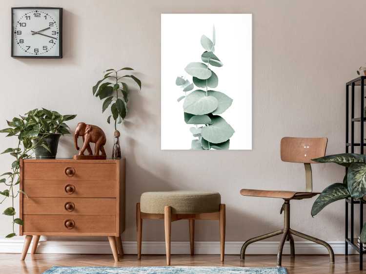 Canvas Print Eucalyptus - Green Plant Twig Close-up on White Background 146129 additionalImage 3
