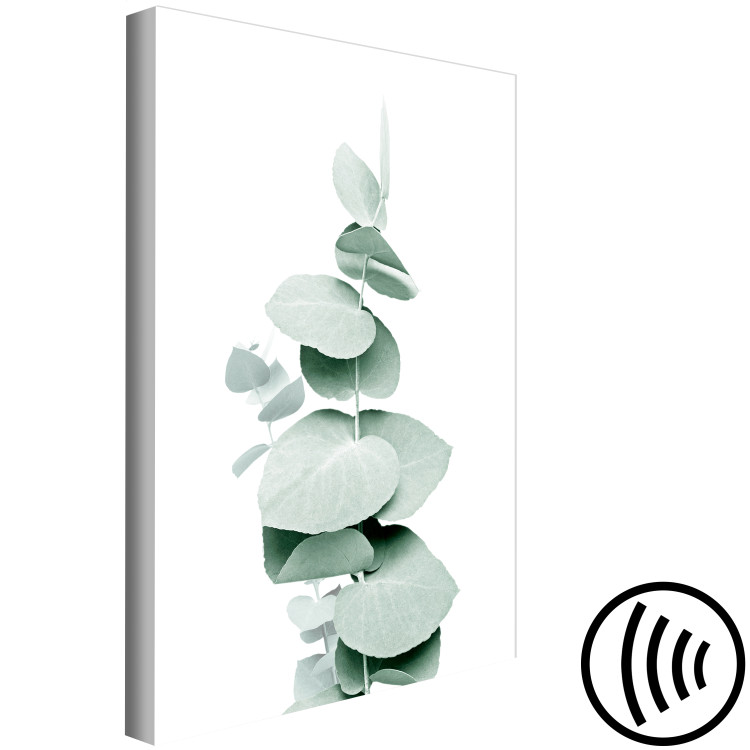 Canvas Print Eucalyptus - Green Plant Twig Close-up on White Background 146129 additionalImage 6