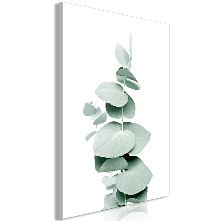 Canvas Print Eucalyptus - Green Plant Twig Close-up on White Background 146129 additionalImage 2