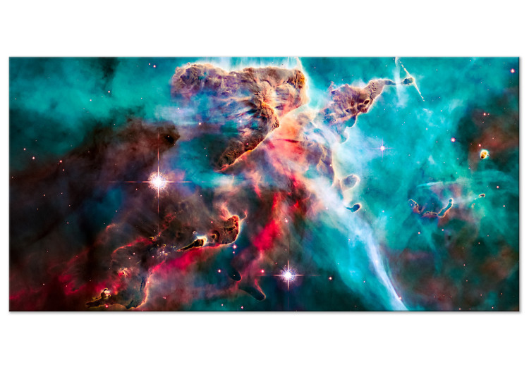 Large canvas print Galactic Journey - Photo of the Colorful Creatures of the Cosmos 146329