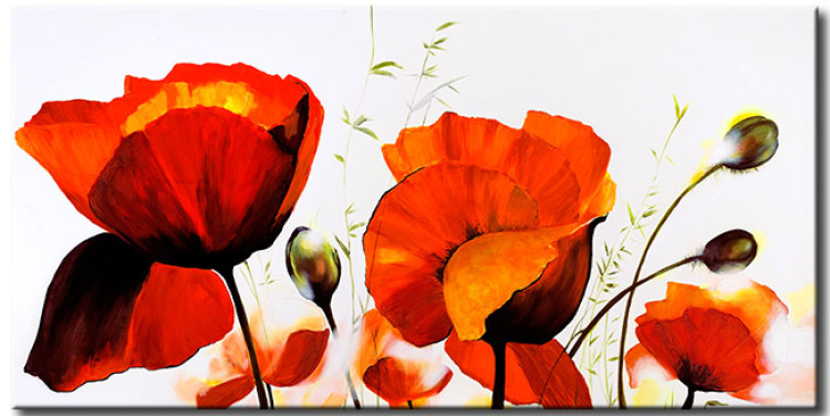 Canvas Print Blooming Nature (1-piece) - botanical motif with red poppies 46629