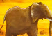 Canvas Art Print An elephant at the watering hole 49229 additionalThumb 2