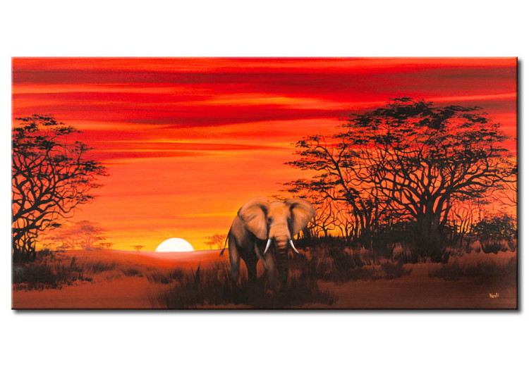 Canvas Art Print Solitary elephant 49629