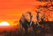 Canvas Art Print Solitary elephant 49629 additionalThumb 2