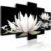 Canvas Print Delicate beauty 50129 additionalThumb 2