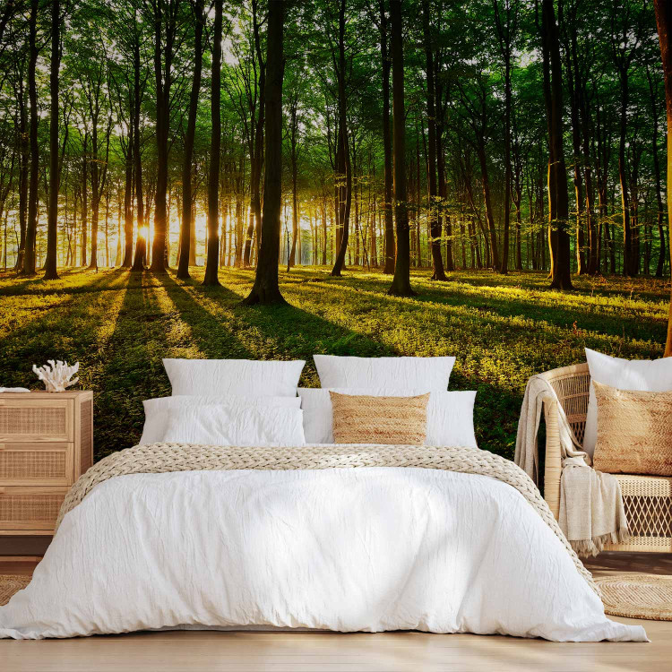 Wall Mural Mystical Morning 91229 additionalImage 2