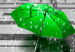 Canvas Print Paris: Green Umbrellas 91929 additionalThumb 4