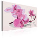 Paint by Number Kit Orchid Flowers 107139 additionalThumb 4
