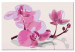 Paint by Number Kit Orchid Flowers 107139 additionalThumb 6