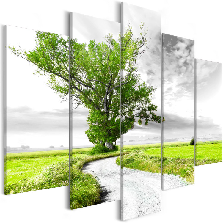 Canvas Print Tree by the Road (5-part) - Landscape of Solitary Green Tree 107739 additionalImage 2