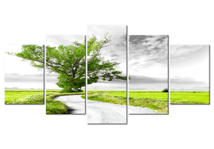 Canvas Print Tree by the Road (5-part) - Landscape of Solitary Green Tree 107739
