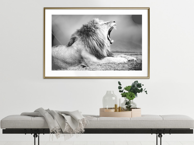Poster Roaring Lion - black and white composition with a roaring lion on the savanna 116439 additionalImage 13