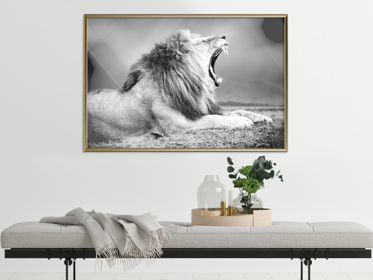 Poster Roaring Lion - black and white composition with a roaring lion on the savanna 116439 additionalImage 7