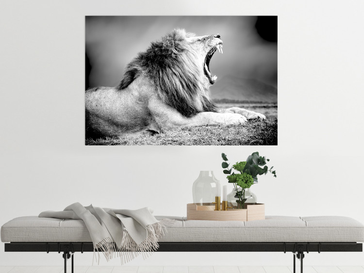 Poster Roaring Lion - black and white composition with a roaring lion on the savanna 116439 additionalImage 23