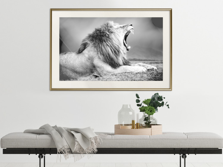 Poster Roaring Lion - black and white composition with a roaring lion on the savanna 116439 additionalImage 21
