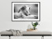 Poster Roaring Lion - black and white composition with a roaring lion on the savanna 116439 additionalThumb 6