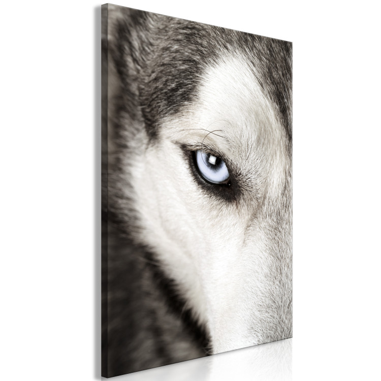 Canvas Print Dog's Look (1 Part) Vertical 116539 additionalImage 2