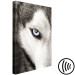Canvas Print Dog's Look (1 Part) Vertical 116539 additionalThumb 6