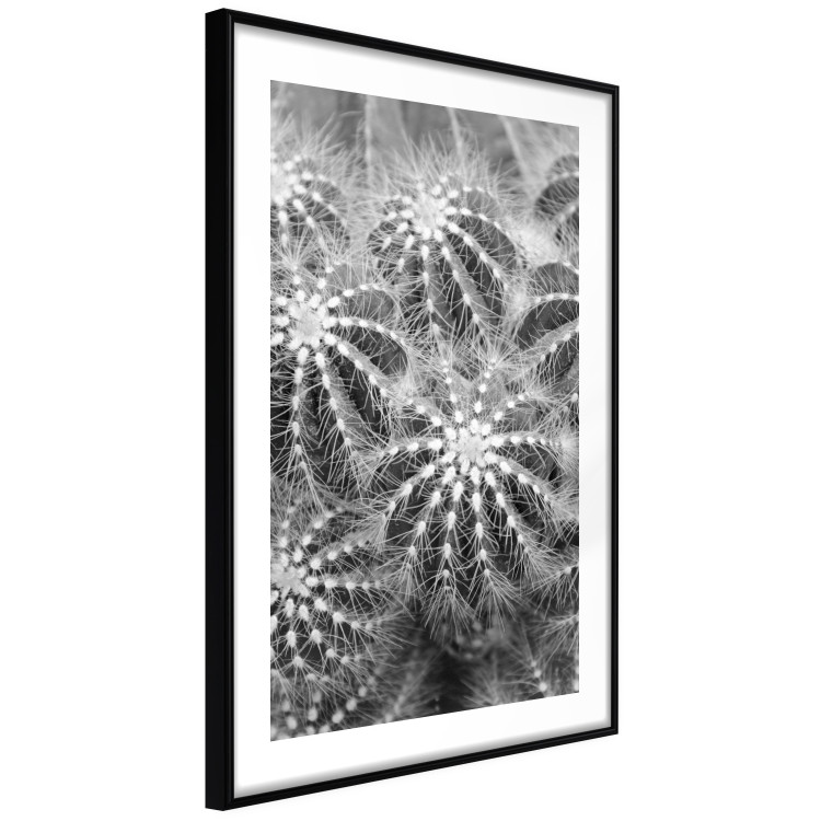 Poster Risky Adventure - black and white composition with prickly plants 117939 additionalImage 13