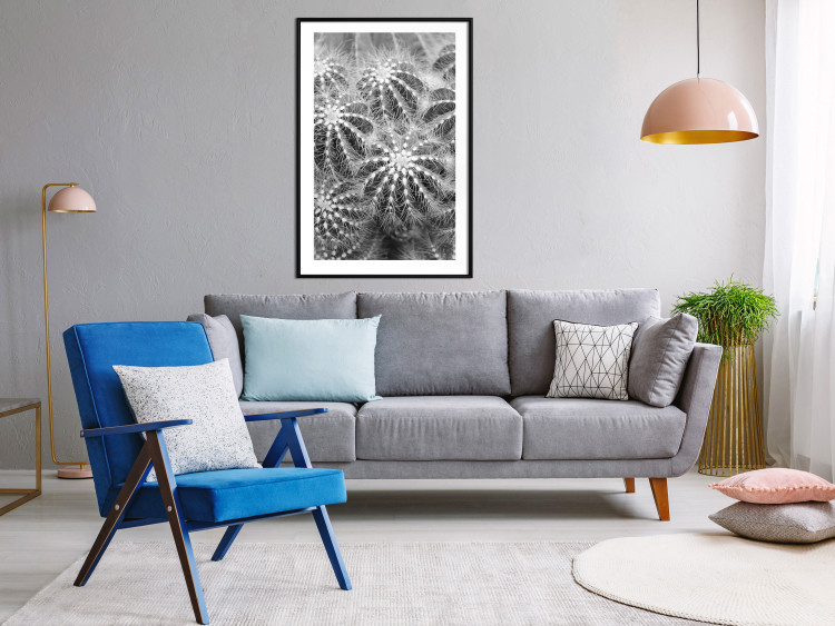 Poster Risky Adventure - black and white composition with prickly plants 117939 additionalImage 6