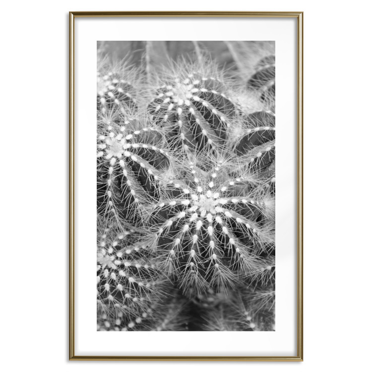 Poster Risky Adventure - black and white composition with prickly plants 117939 additionalImage 14