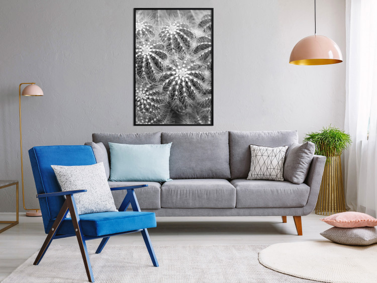 Poster Risky Adventure - black and white composition with prickly plants 117939 additionalImage 3