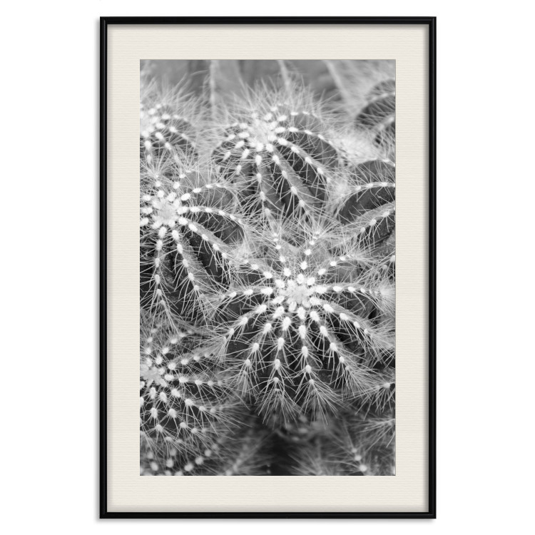 Poster Risky Adventure - black and white composition with prickly plants 117939 additionalImage 18