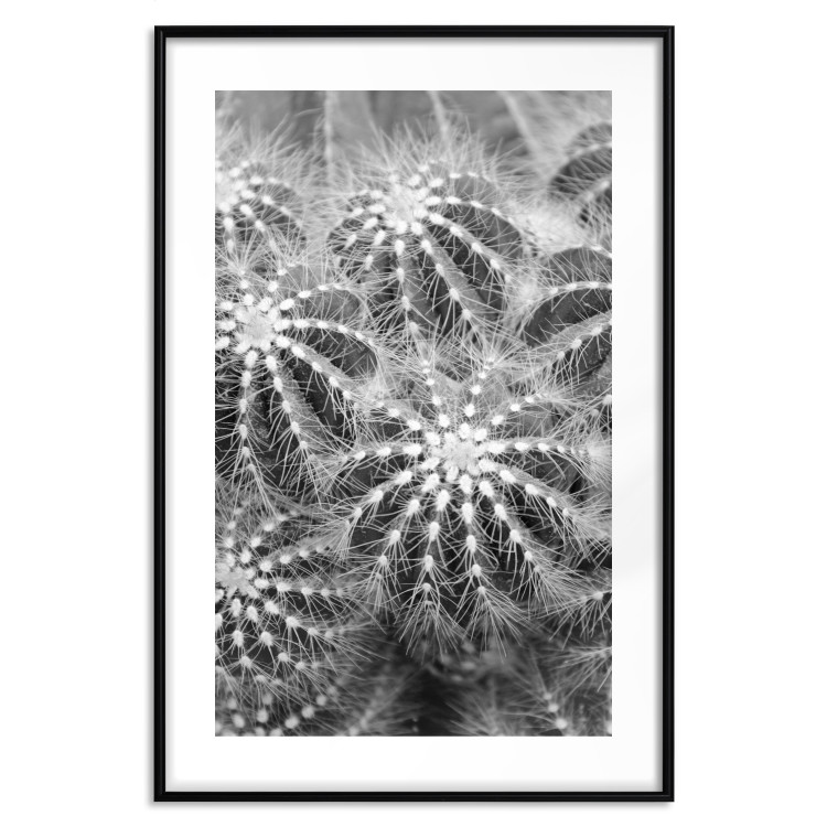 Poster Risky Adventure - black and white composition with prickly plants 117939 additionalImage 15