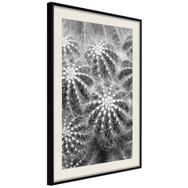 Poster Risky Adventure - black and white composition with prickly plants 117939 additionalImage 3